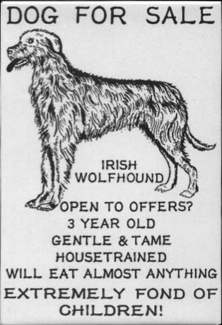 DOG FOR SALE.jpg